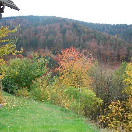 Country House & Spa Mislinja Kültér fotó