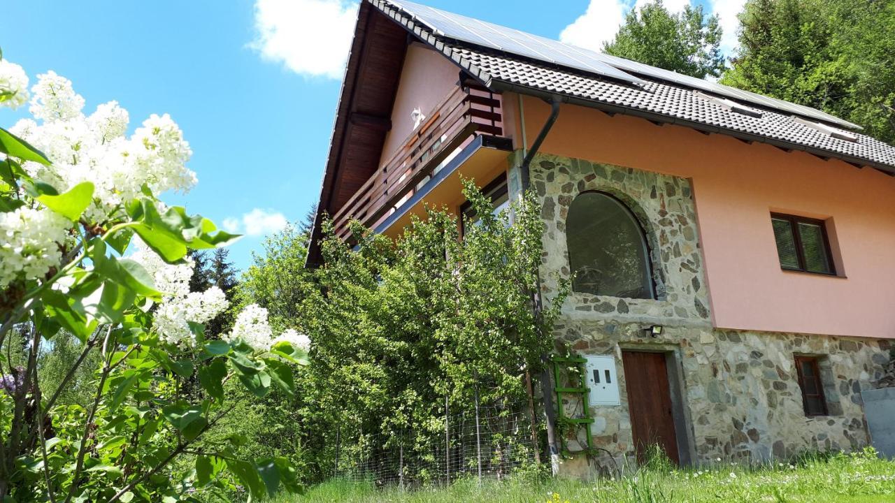 Country House & Spa Mislinja Kültér fotó