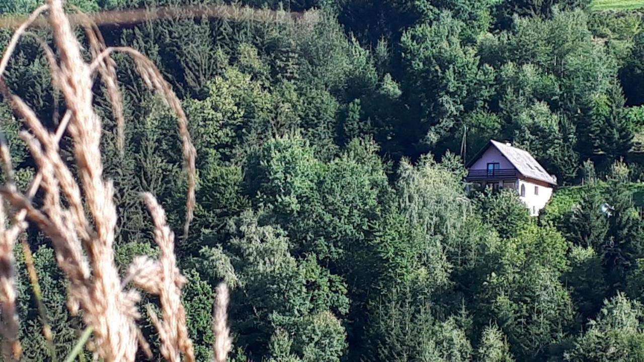 Country House & Spa Mislinja Kültér fotó