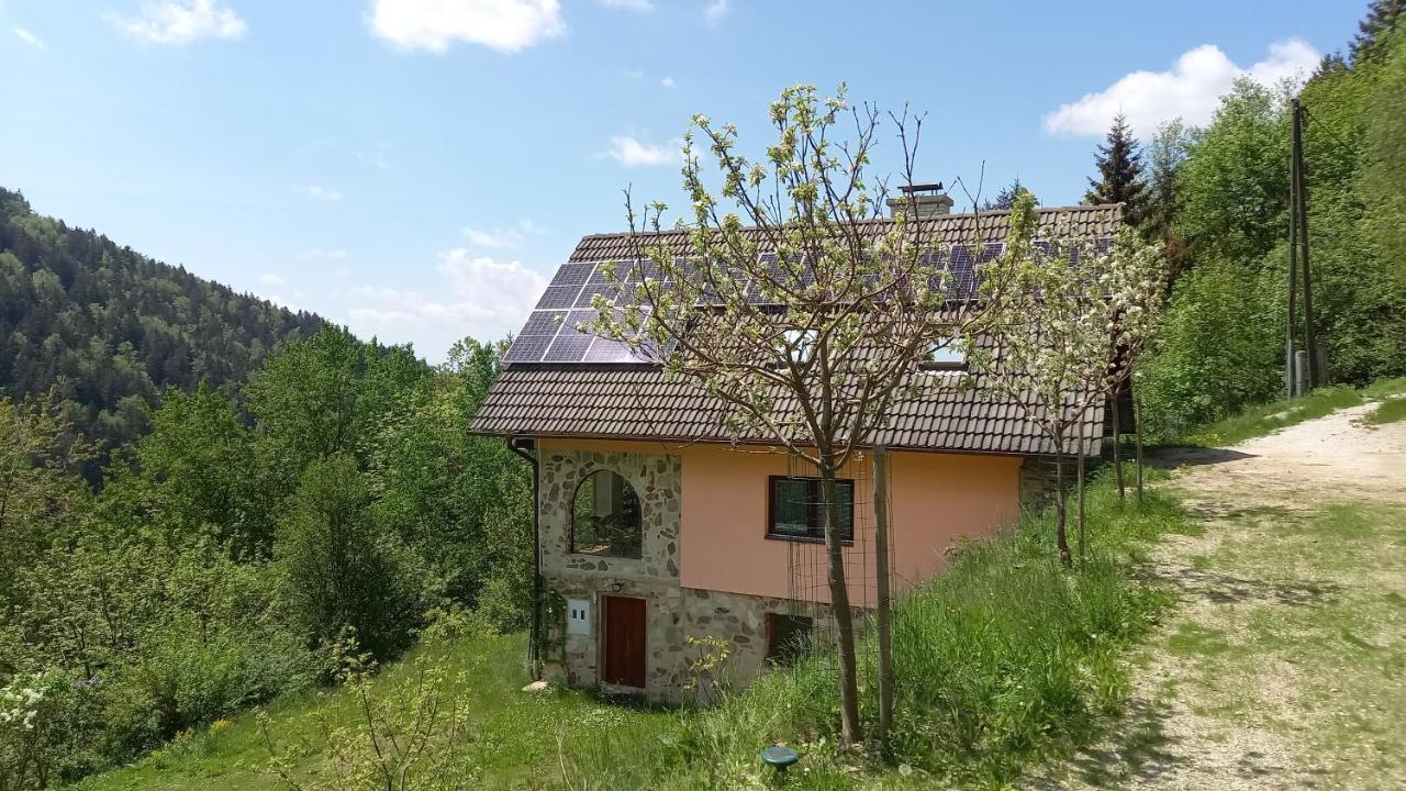 Country House & Spa Mislinja Kültér fotó