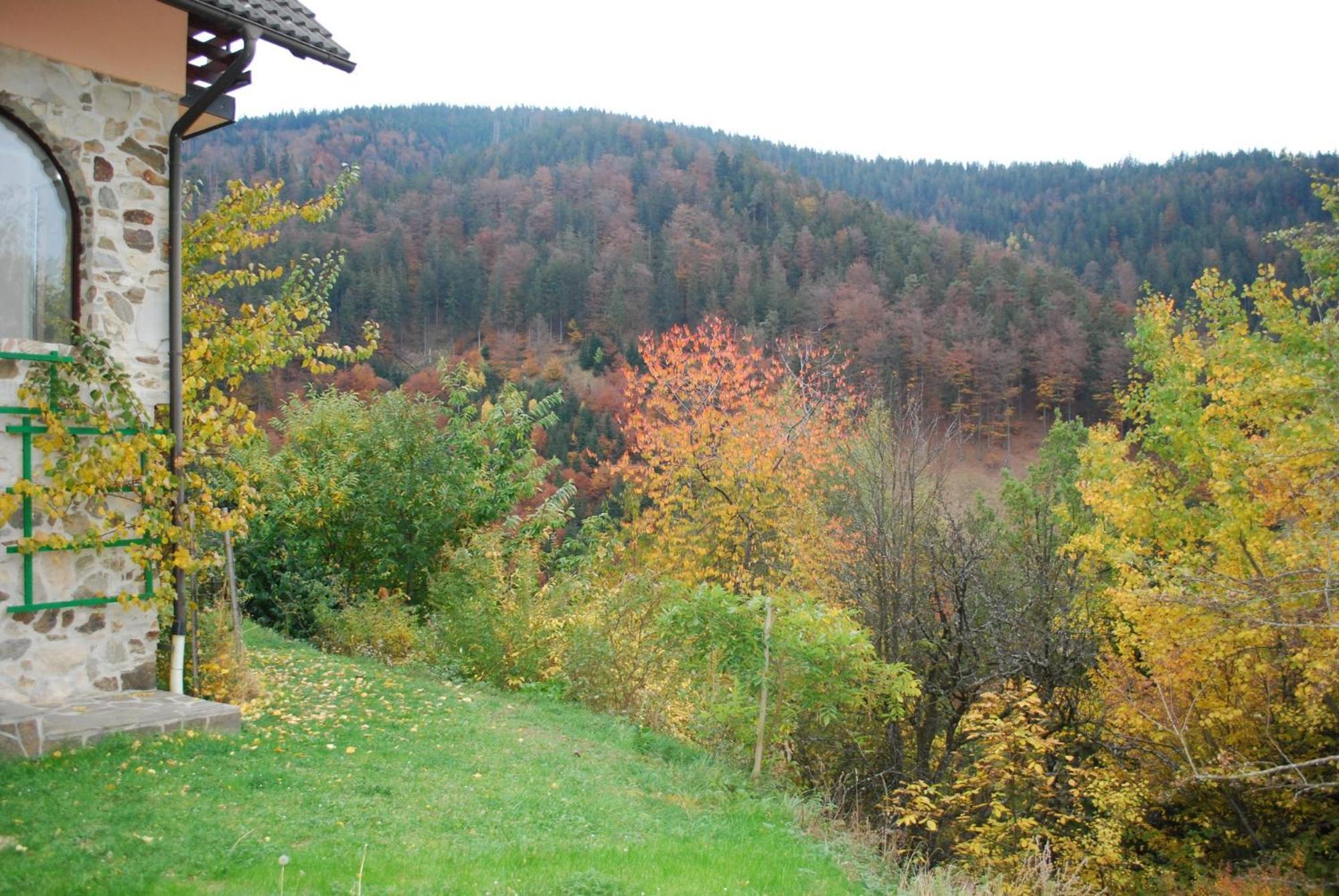 Country House & Spa Mislinja Kültér fotó